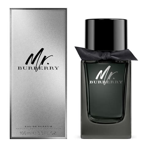 burberry mr burberry eau de parfum spray 100ml|mr burberry perfume price.